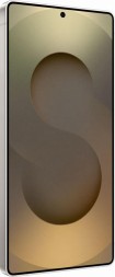 Samsung Galaxy S25 Ultra 12/512GB серый титан